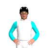 Jockey Silk