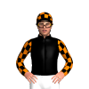 Jockey Silk