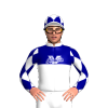 Jockey Silk