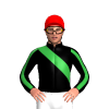 Jockey Silk