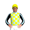 Jockey Silk