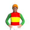 Jockey Silk