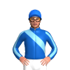 Jockey Silk