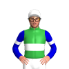 Jockey Silk