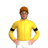 Jockey Silk