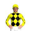Jockey Silk