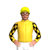 Jockey Silk