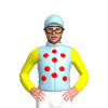 Jockey Silk
