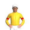 Jockey Silk