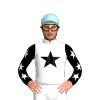 Jockey Silk