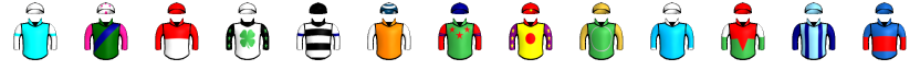 Runner silk