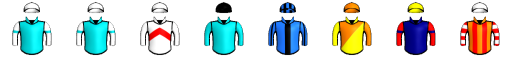 Runner silk