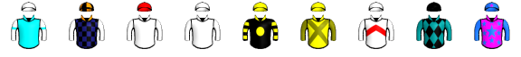 Runner silk
