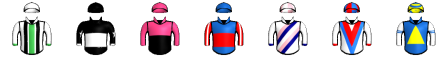 Runner silk