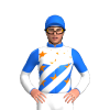 Jockey Silk