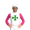 Jockey Silk
