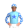 Jockey Silk