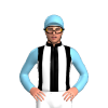 Jockey Silk