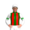 Jockey Silk