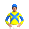 Jockey Silk