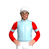 Jockey Silk