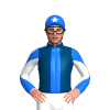 Jockey Silk
