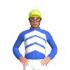 Jockey Silk