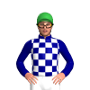 Jockey Silk