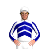 Jockey Silk