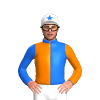 Jockey Silk