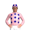 Jockey Silk
