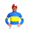 Jockey Silk