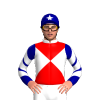 Jockey Silk