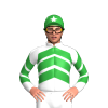 Jockey Silk