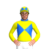 Jockey Silk