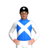 Jockey Silk