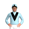 Jockey Silk