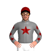 Jockey Silk