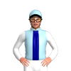 Jockey Silk