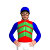 Jockey Silk