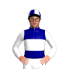 Jockey Silk