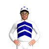 Jockey Silk