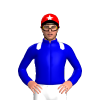 Jockey Silk
