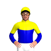 Jockey Silk