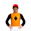 Jockey Silk