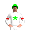 Jockey Silk