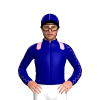Jockey Silk