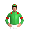 Jockey Silk
