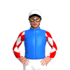 Jockey Silk