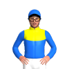 Jockey Silk
